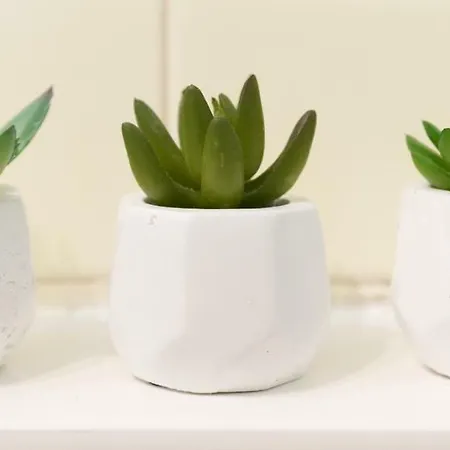 Le Parc De L'hermitage Apartman Le Touquet