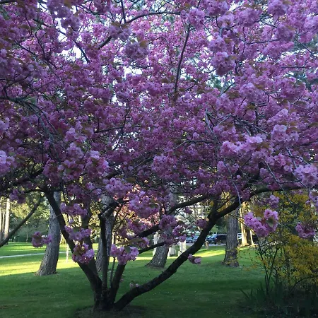 Le Parc De L'hermitage