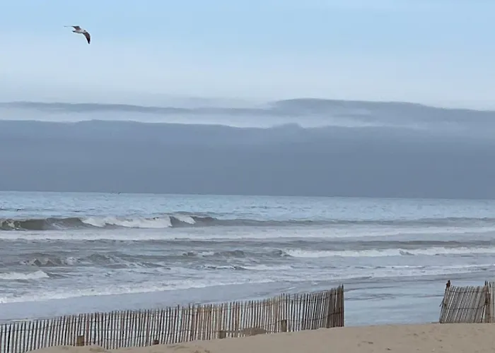 Le Parc De L'hermitage *