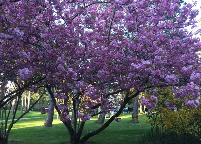 Le Parc De L'hermitage